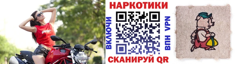Наркошоп купить Гашиш  A PVP  Галлюциногенные грибы  Метадон  МЕФ  Тарко-Сале