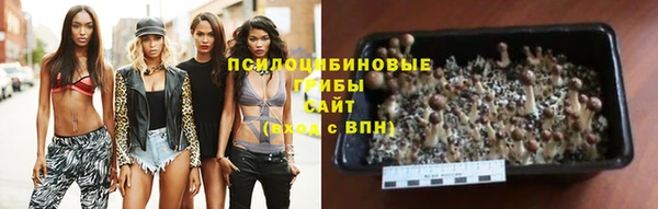 винт Вяземский