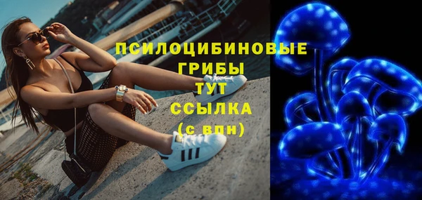 хмурый Вязники
