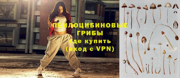 винт Вяземский