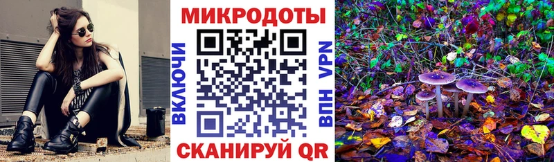 Псилоцибиновые грибы Cubensis  Купить  Тарко-Сале 